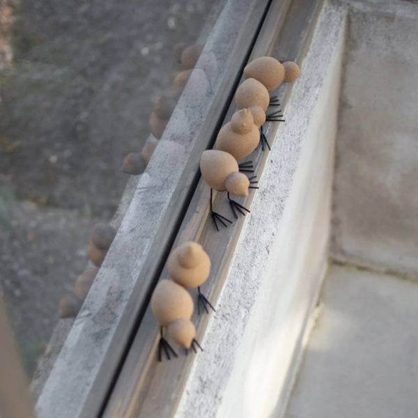 Swedish birds i farge sand fra DBKD
