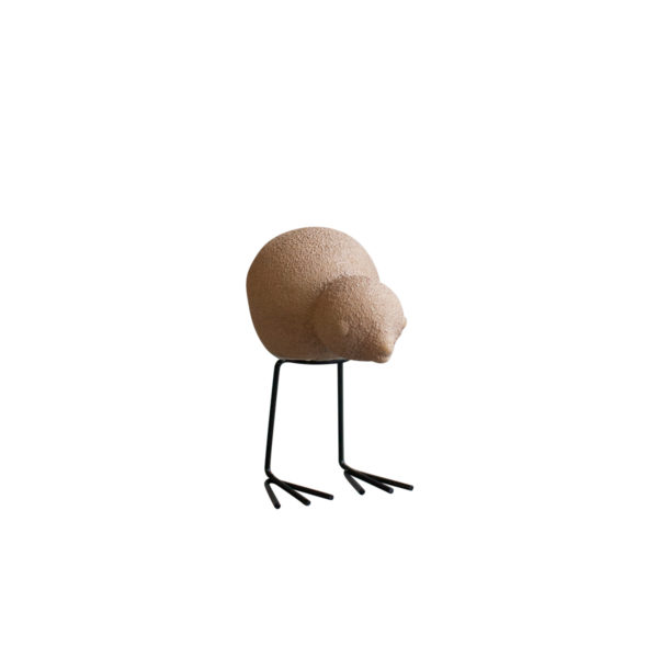 Swedish birds i farge sand fugl ser ned fra DBKD