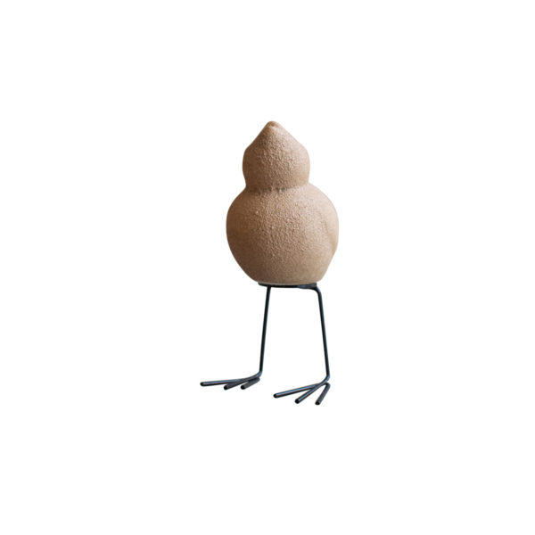 Swedish birds i farge sand fugl ser opp fra DBKD